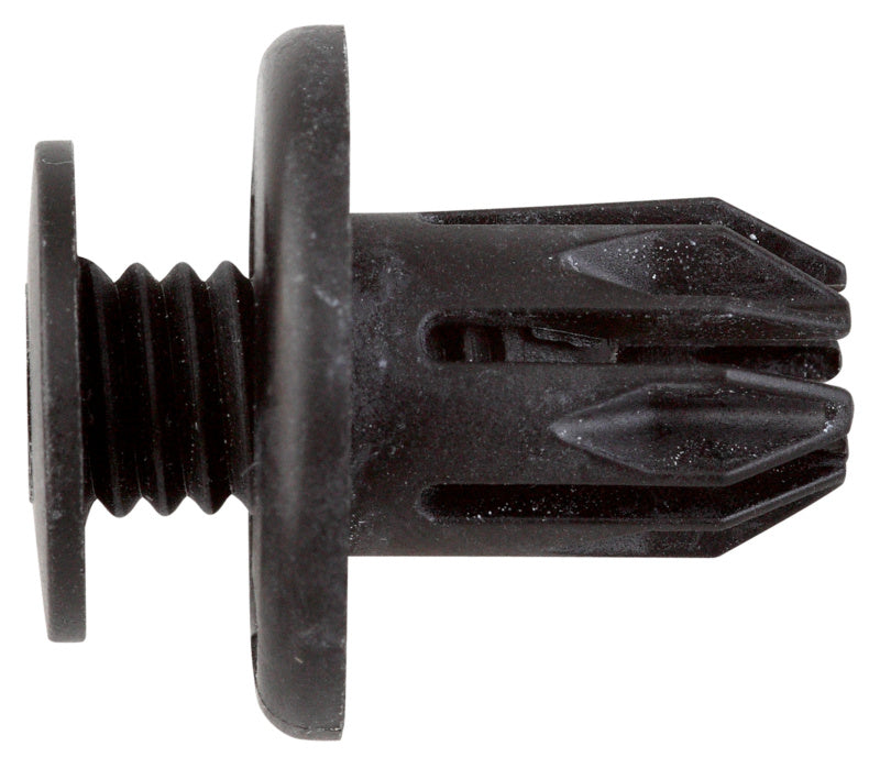 Screw rivet Japanese Car