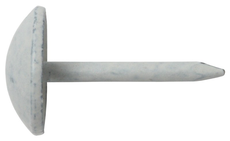 Polsternägel Halbrundkopf, Stahl weiß