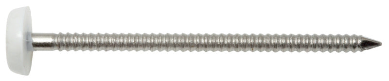 Pointe acier inoxydable A4, tête plastique blanc