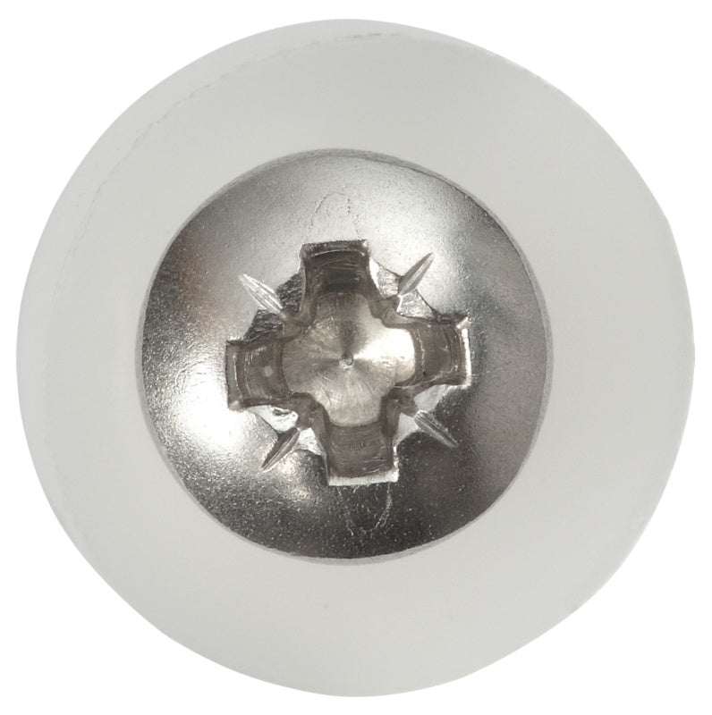 Window sill screw