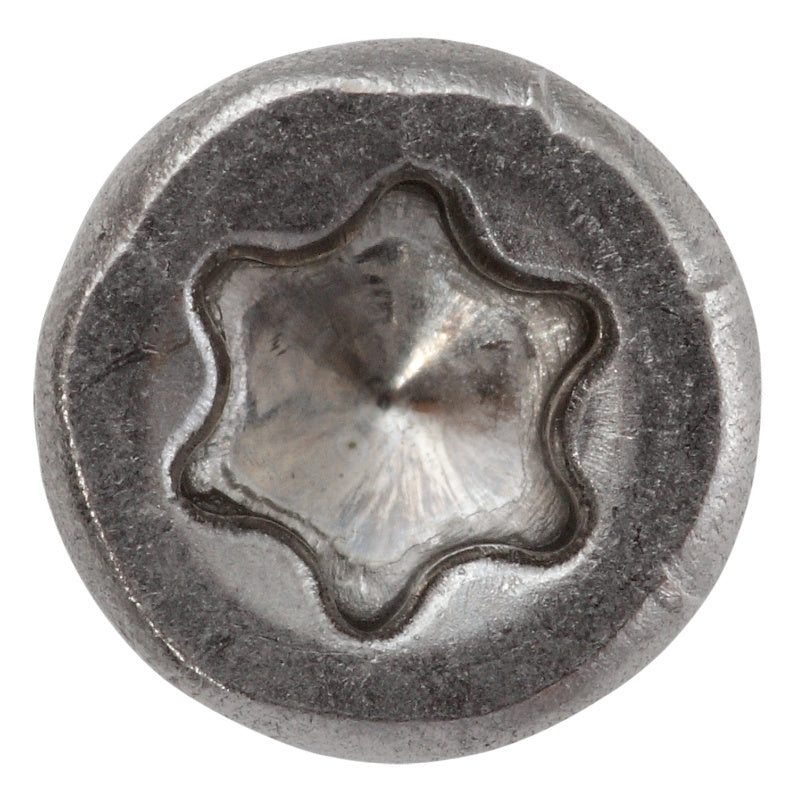 Fencing screw, A2 stainless steel with bit