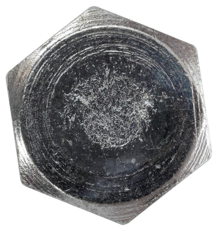 DIN 571 wood screw, zinc-plated