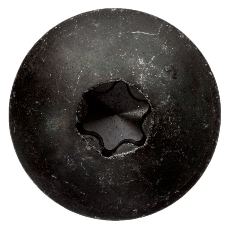 Gate hinge screw, black zinc-plated
