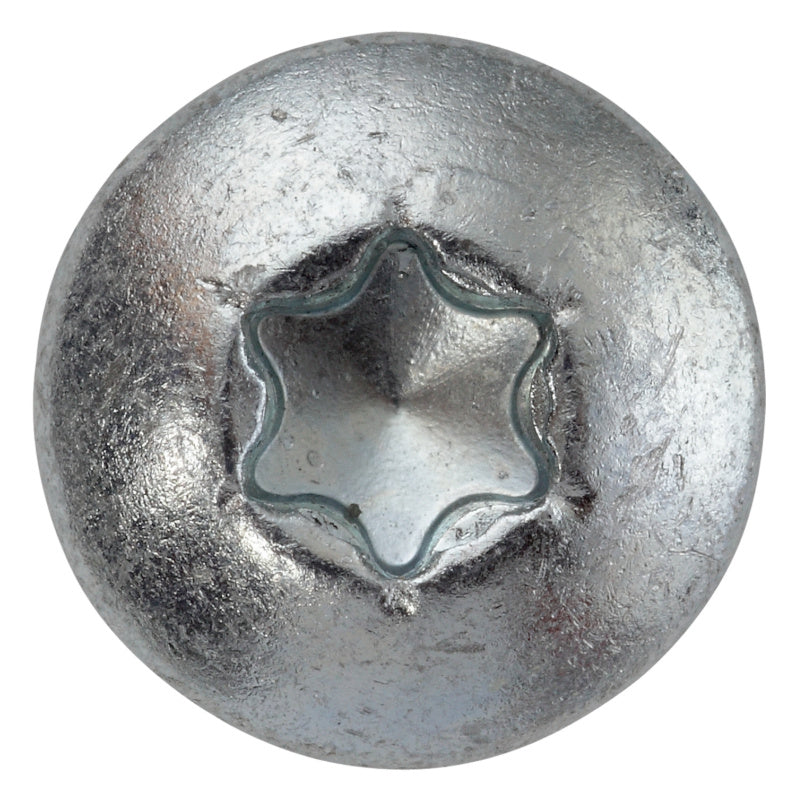 Vis bois et panneaux, tête cylindrique bombée, TX, avec embout, filetage total, acier zingué