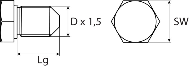 Bouchon de vidange M14 x 1,5 x 16, en acier phosphaté