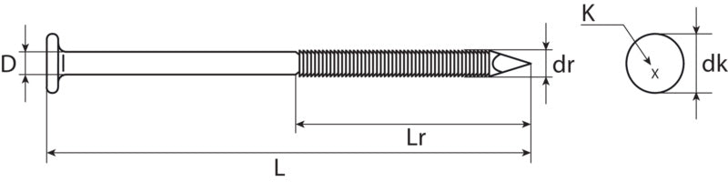 Rafter nail