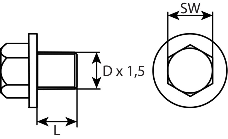 Bouchon de vidange M14 x 1,5 x 13, en acier zingué