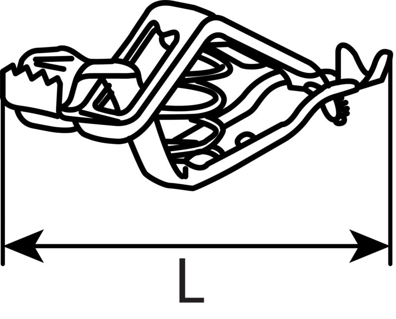 25 A +
