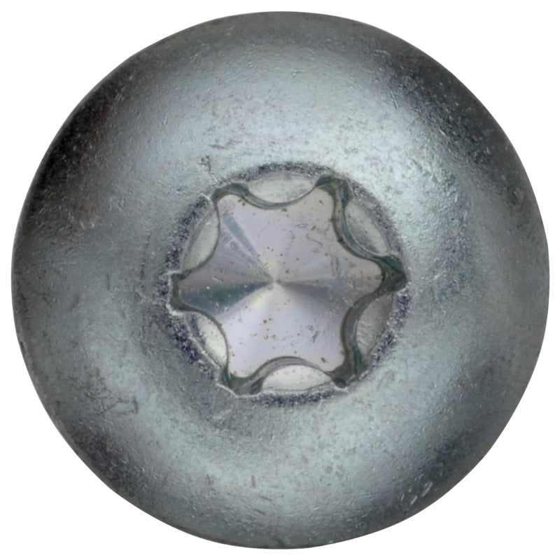 Gate hinge screw, zinc-plated