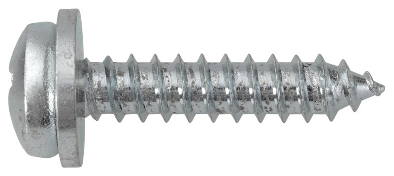 Tornillo para matrículas, cincado