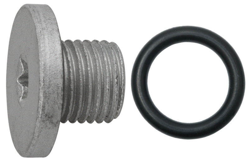 Ölablassschraube M14 x 1,5 x 10,5 mit Dichtring, Stahl Zink Nickel x 4009155750729