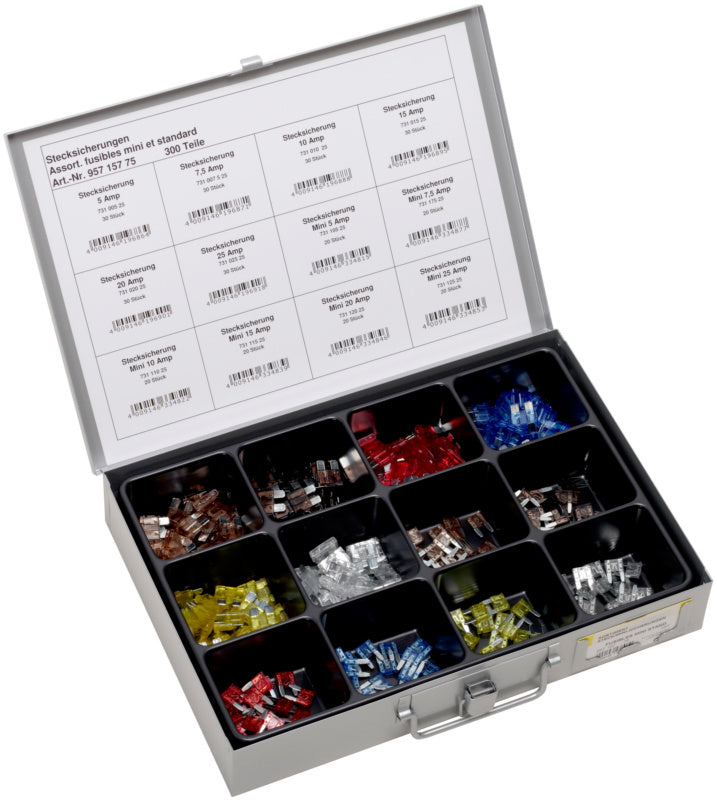 Assortment, fuses, 12-compartment