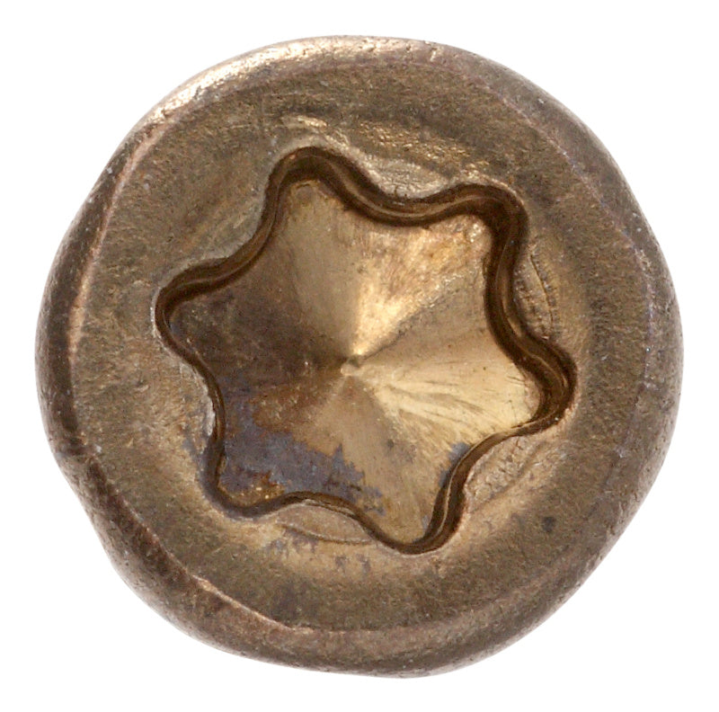 Decking screw, thermowood screw with bit