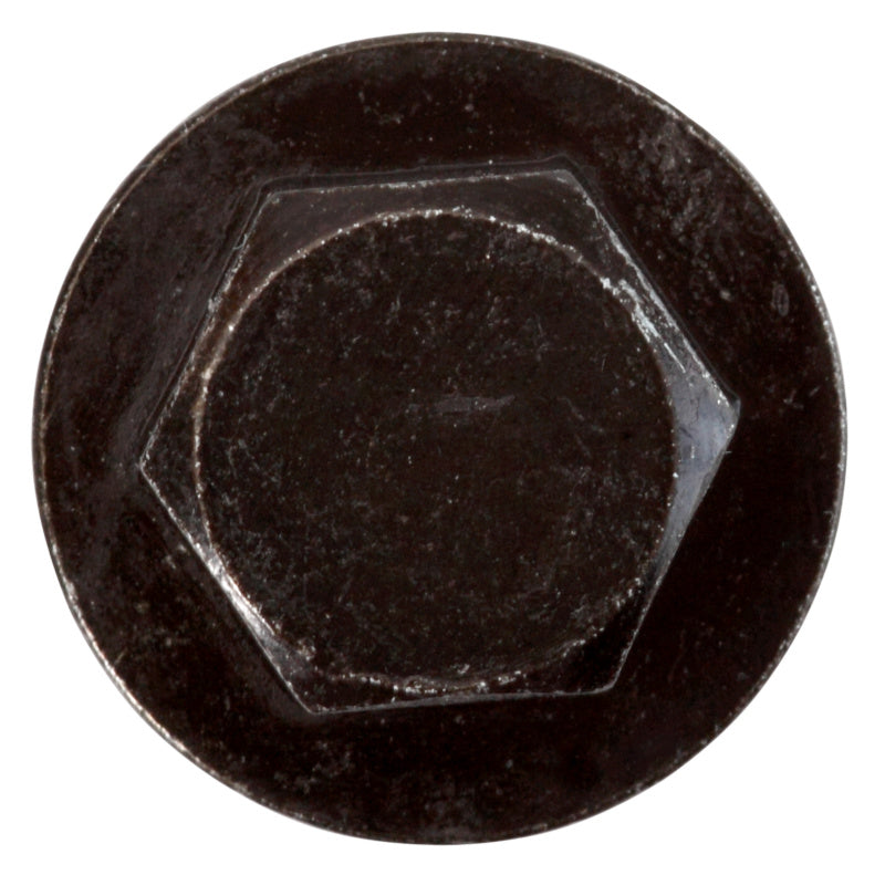 Tapón de purga de aceite sin anillo sellador