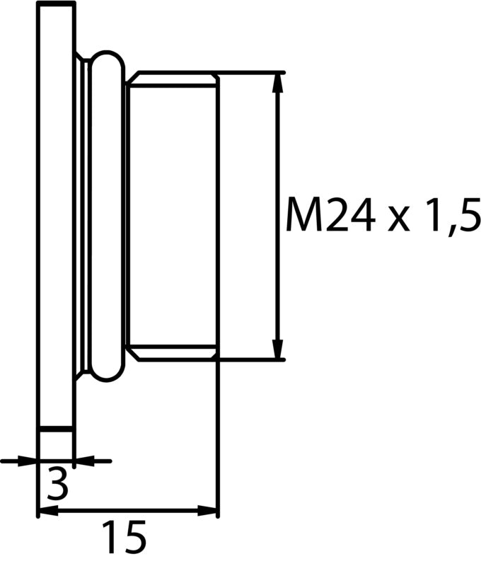 Bouchon de vidange M24 x 1,5 x 12, en plastique